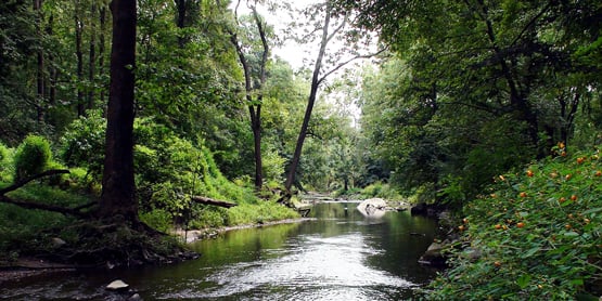 Ridley_Creek_State_Park_2