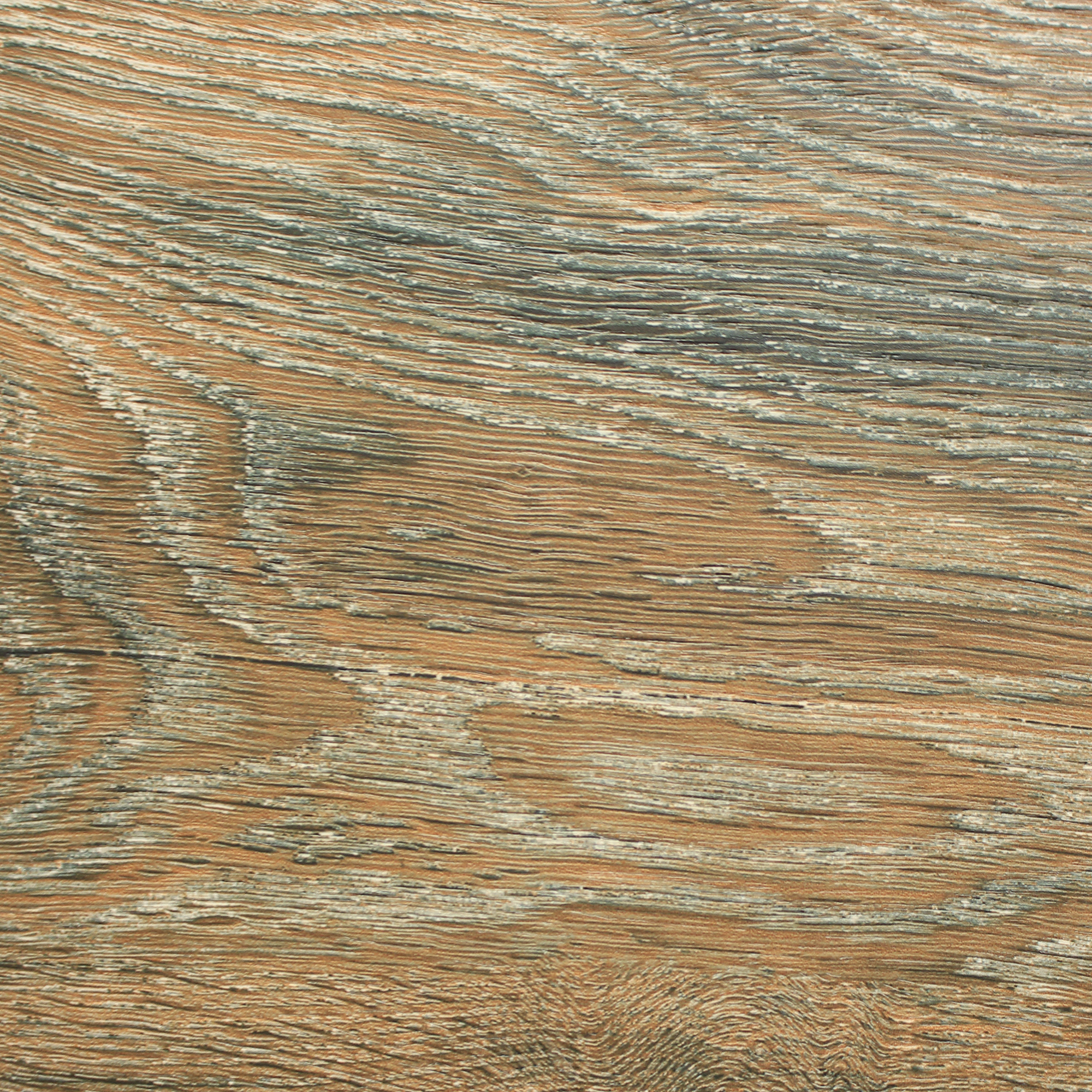 Regard - Sherwood Larch