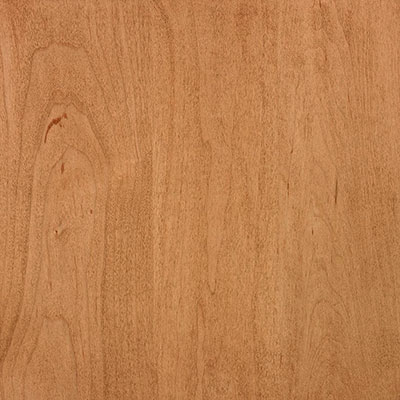 Ginger on Maple Cabinet-door-color
