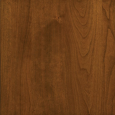 Honey on Cherry Cabinet-door-color