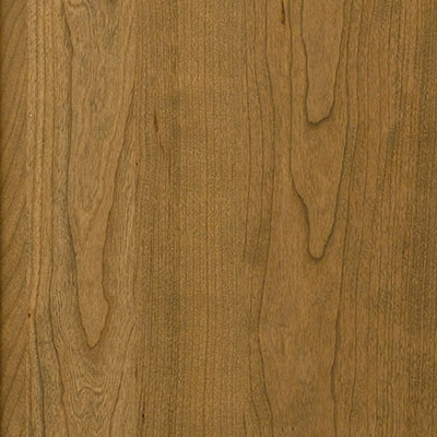 Portobella on Cherry Cabinet-door-color